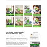 website design and development services we're a professional web designer & developer