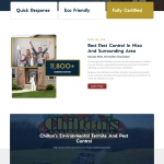 website design and development services Professional Website Design & Development Services